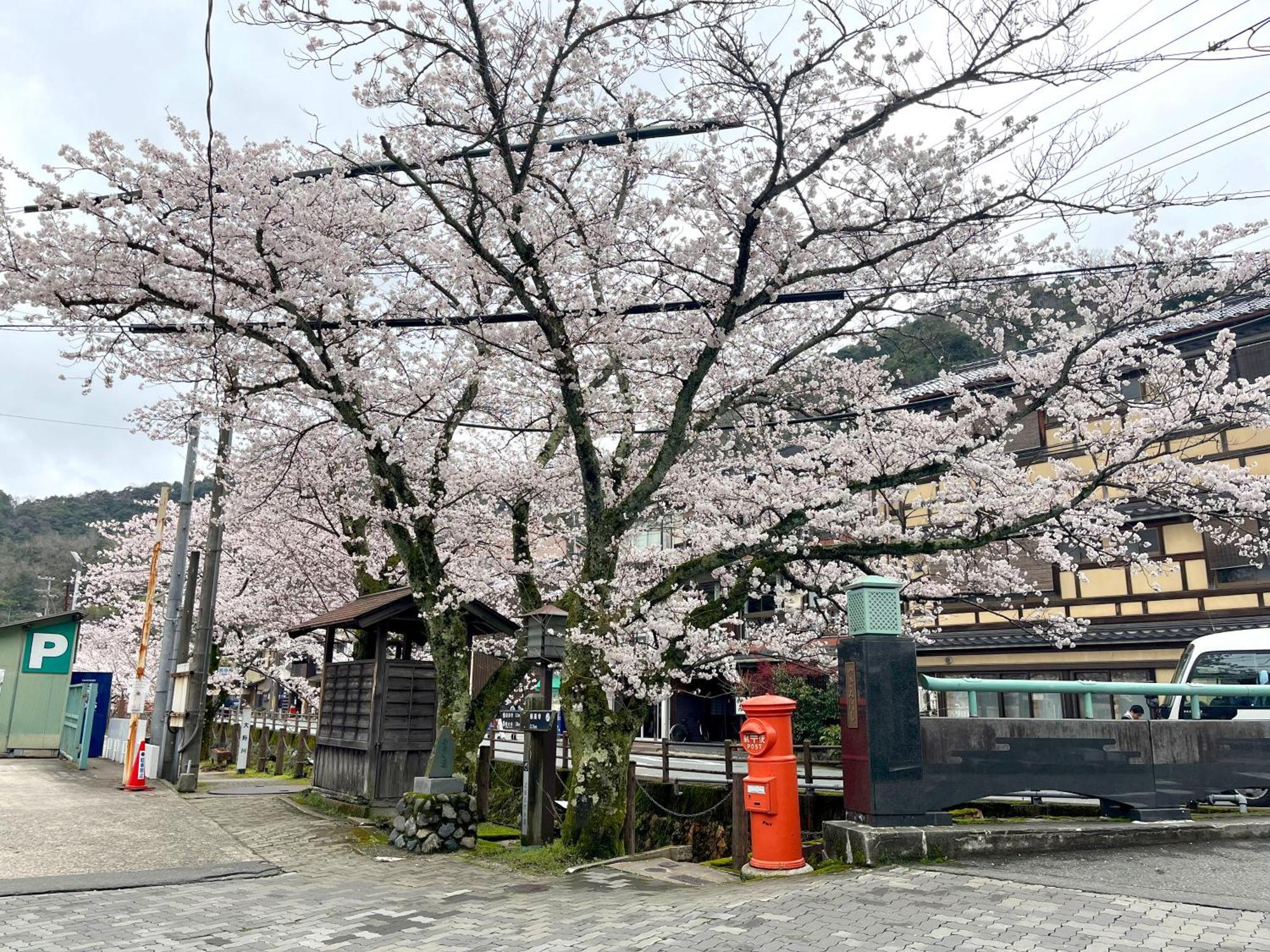 城崎温泉一棟貸し　旅宿yadokari Toyooka  Bagian luar foto