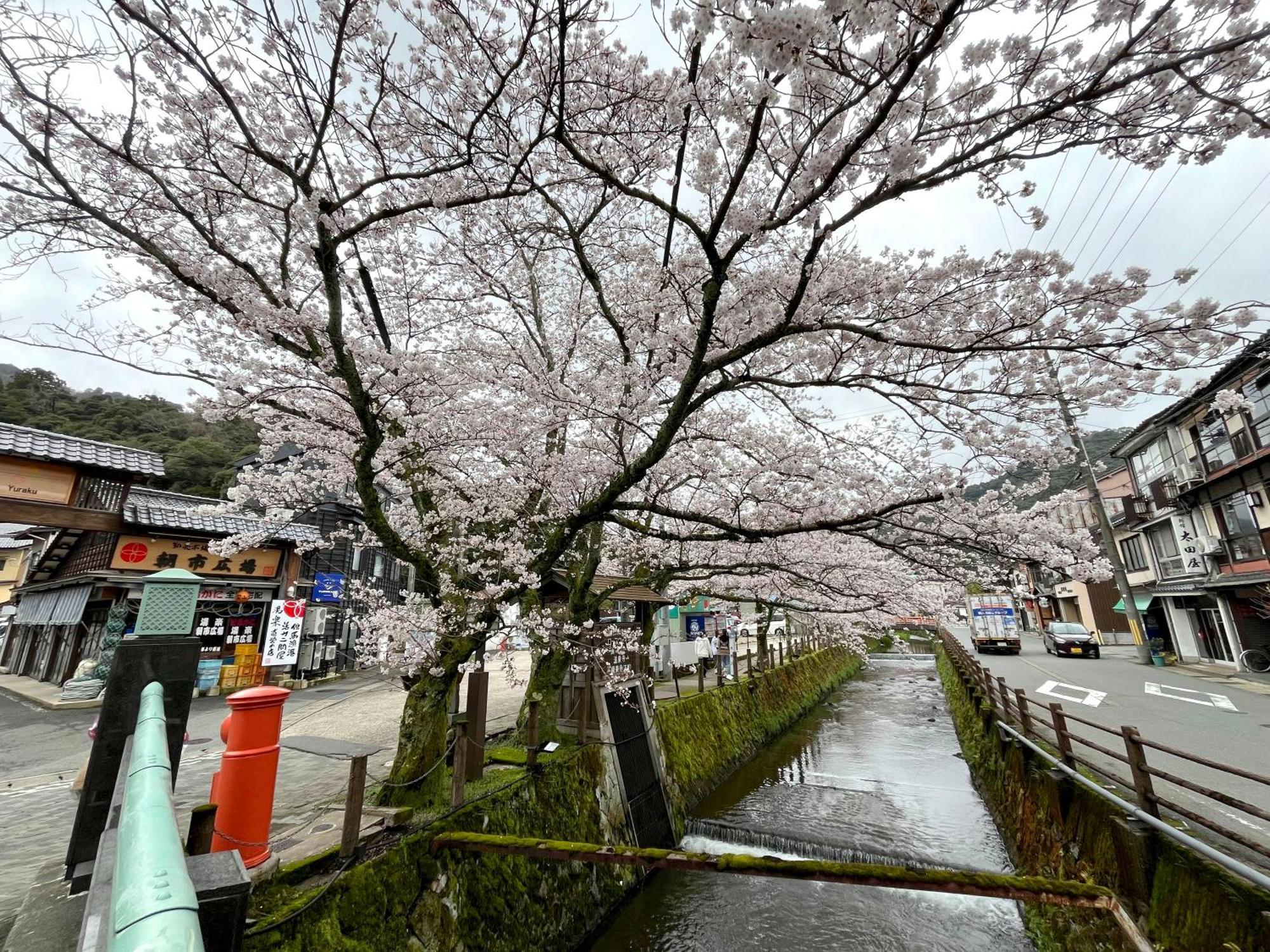 城崎温泉一棟貸し　旅宿yadokari Toyooka  Bagian luar foto